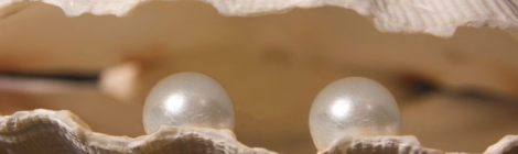 DOS PERLITAS MUNICIPALES