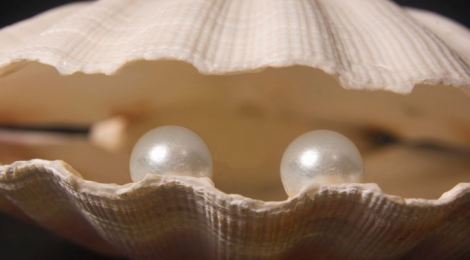 DOS PERLITAS MUNICIPALES