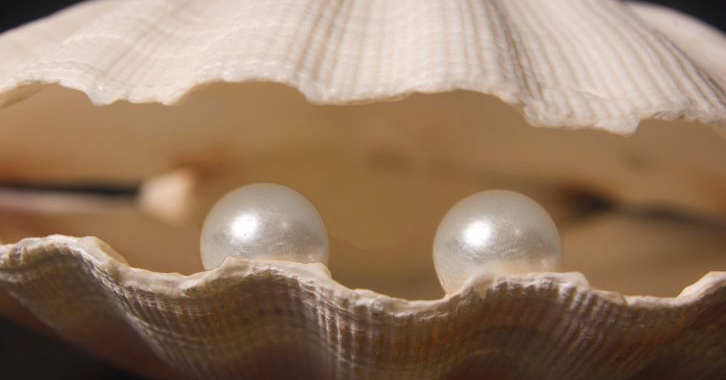 DOS PERLITAS MUNICIPALES